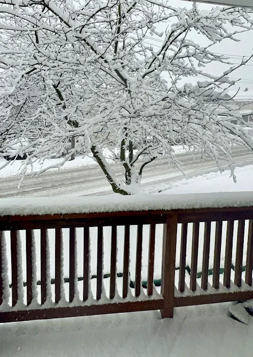 Port Chester Roofing Company Picture 2