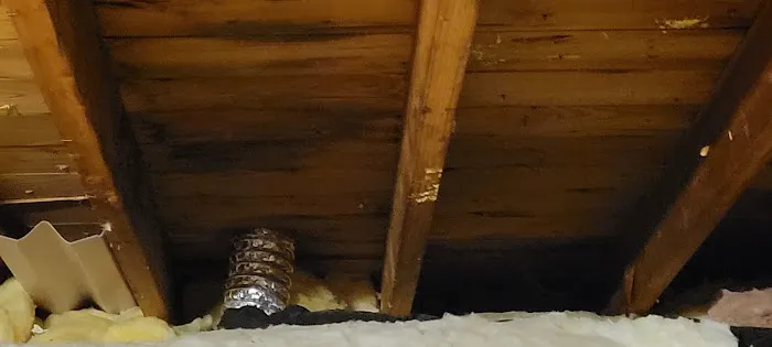 Wayne Johnson & Sons Inc Picture 1