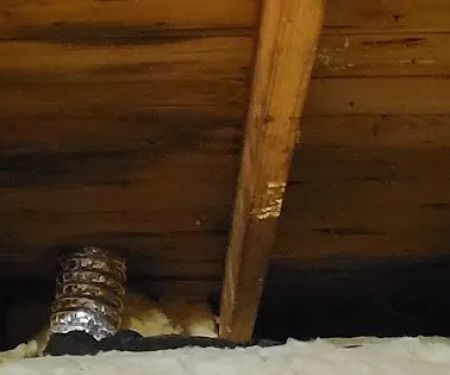 Wayne Johnson & Sons Inc