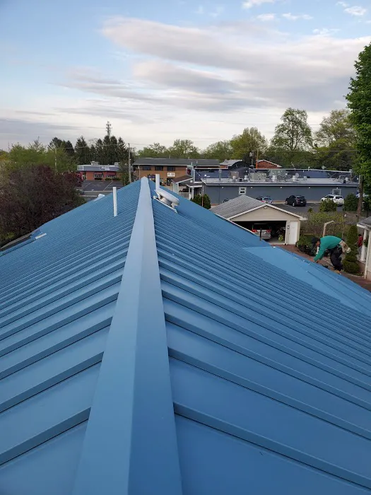 Salvadors Metal Roofing Picture 1