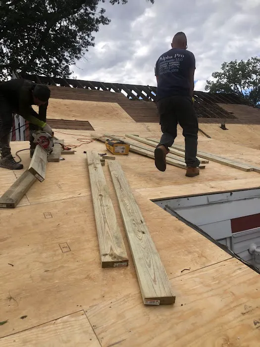 Alpha Pro Construction Picture 4