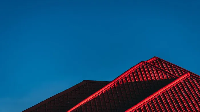 ROOF SIDING Picture 2