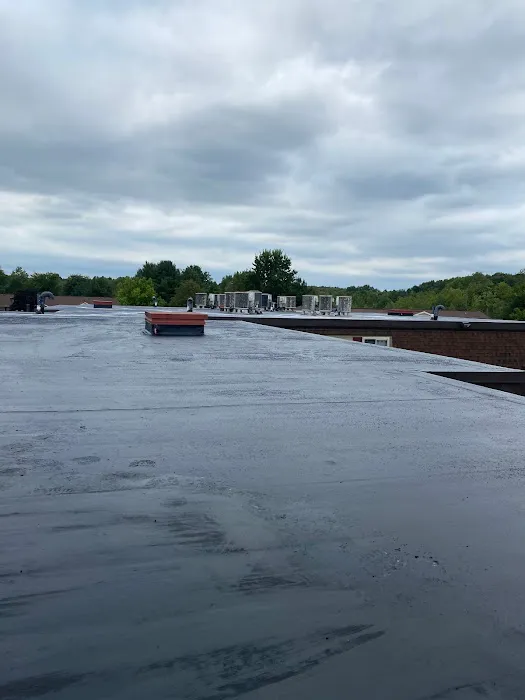 Niche Roofing & Waterproofing Picture 6