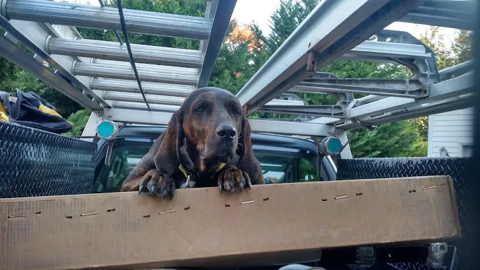 Cardinal Roofing & Siding Inc Picture 1