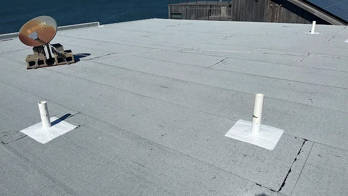 Roof Pro Picture 1