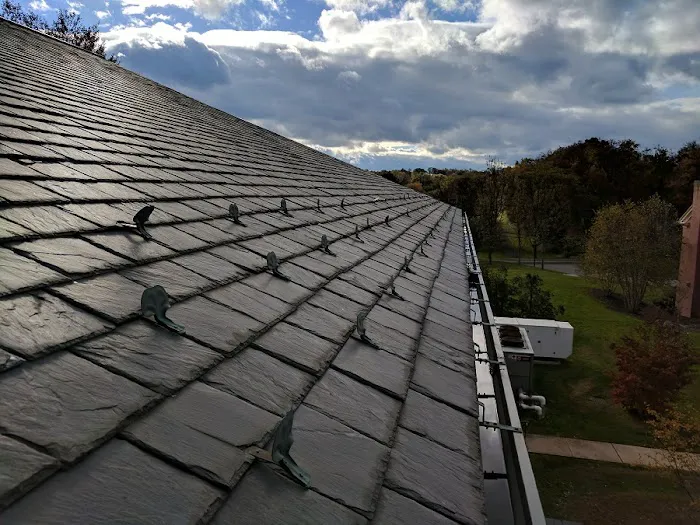 Fania Roofing Co Picture 6