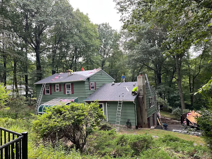 Boundless Roofing & Chimney Picture 5