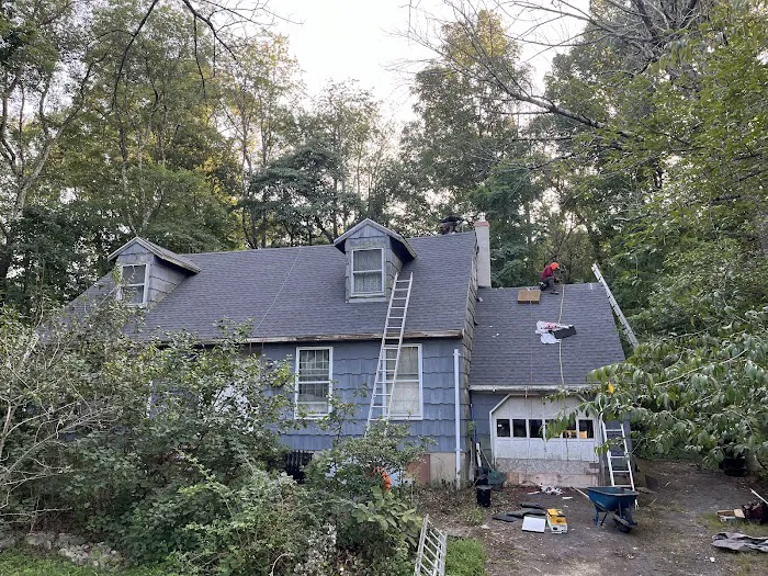 Boundless Roofing & Chimney Picture 9