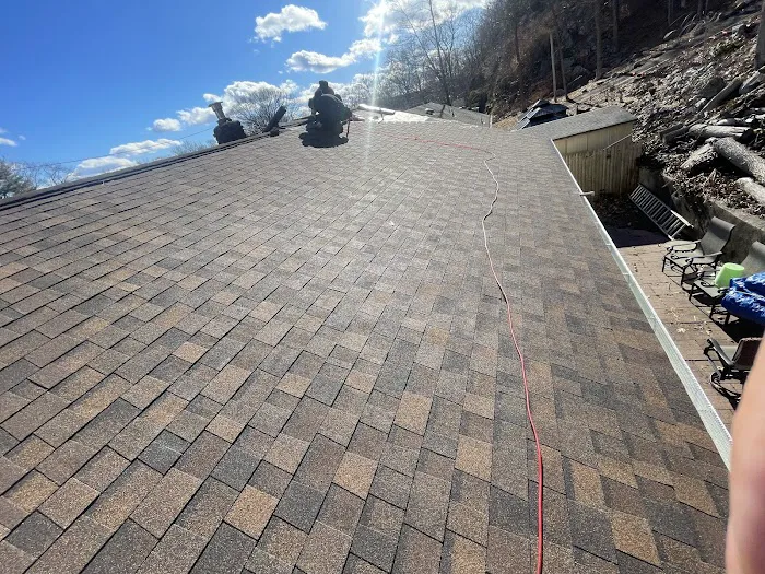 One New View Roof Repair Picture 1