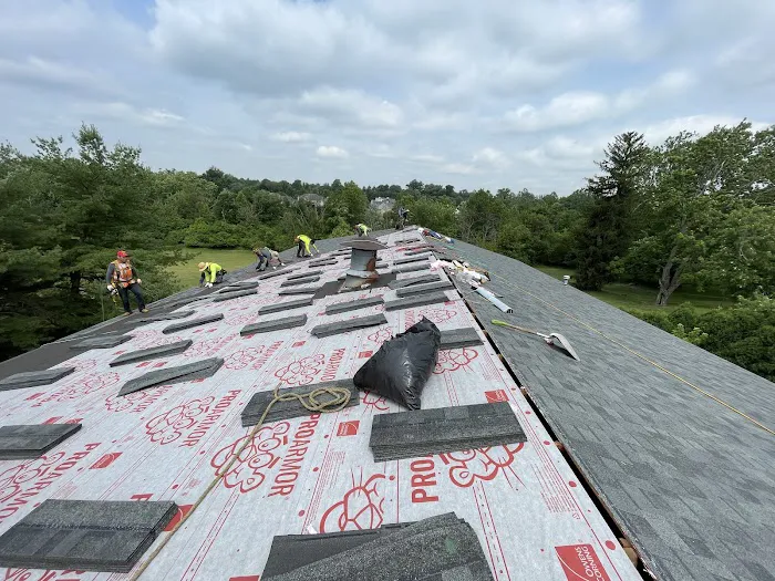 All Site Roofing Picture 3