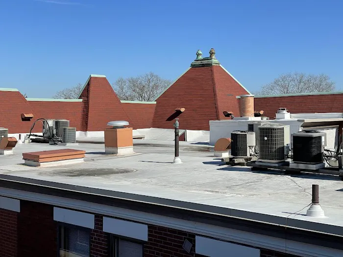 All Site Roofing Picture 4