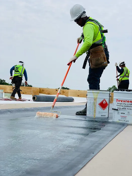 PHENIX PRO Picture 2