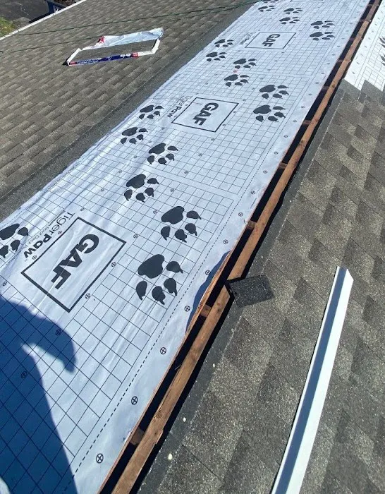 Roof Plus Picture 10