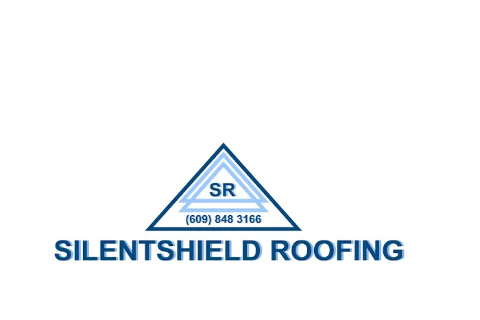 SilentShield Roofing Picture 3