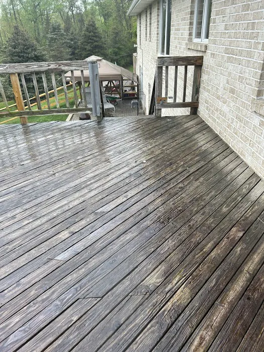 Padovani Roofing , Roof Cleaning & Construction Picture 1