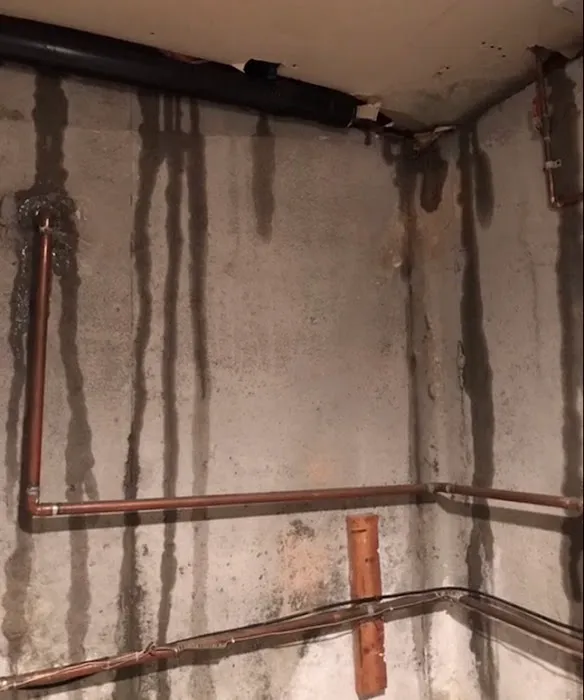 Hayes & Sons Roof Repair Picture 1