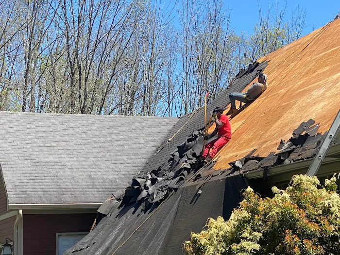 Panther Contracting LLC Hunterdon County Picture 1