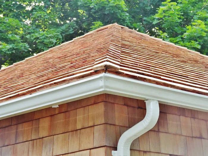 Tony the Roofer Picture 3