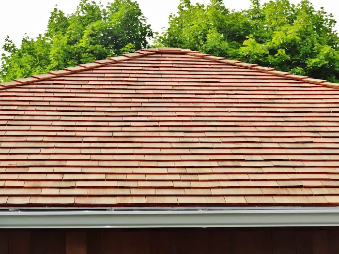 Tony the Roofer Picture 6