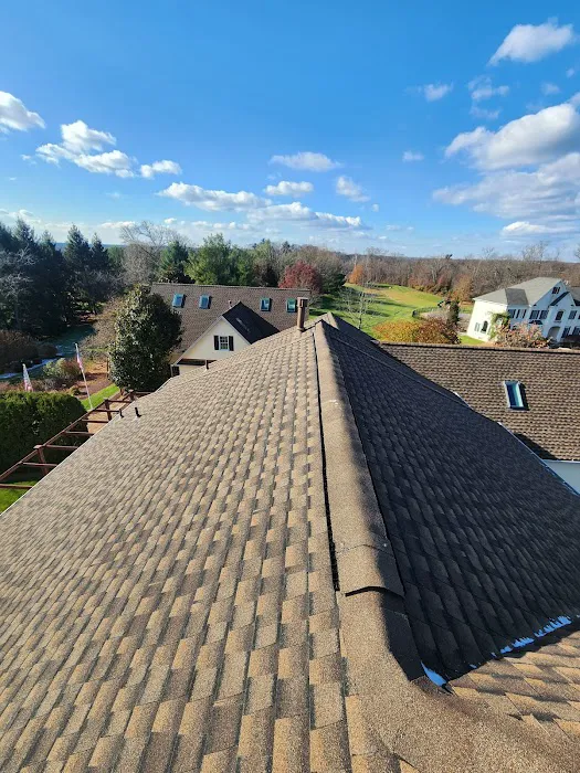 Denis Contractors Roofing Picture 4