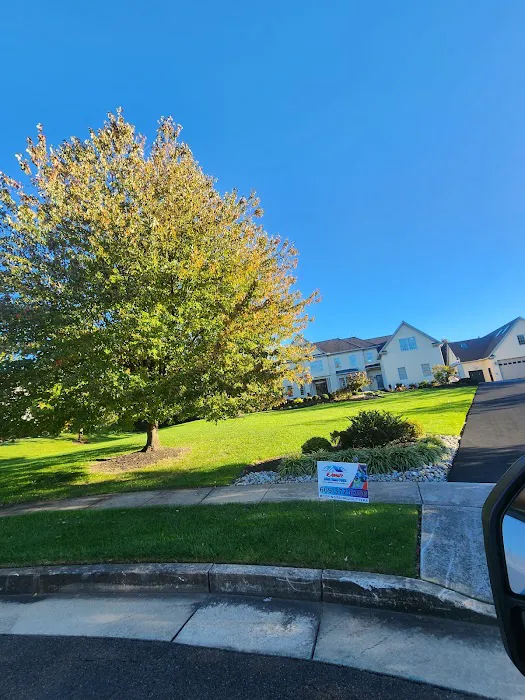 Denis Contractors Roofing Picture 2