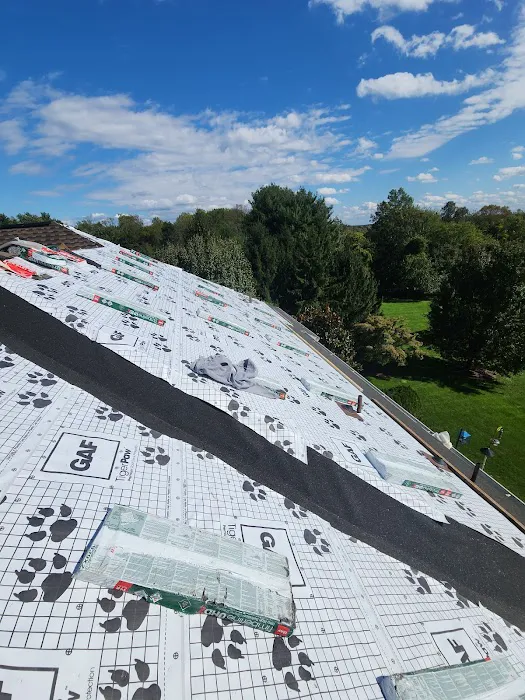 Denis Contractors Roofing Picture 1