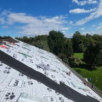 Denis Contractors Roofing ico