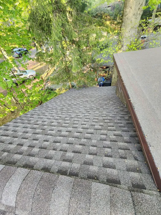 Denis Contractors Roofing Picture 5