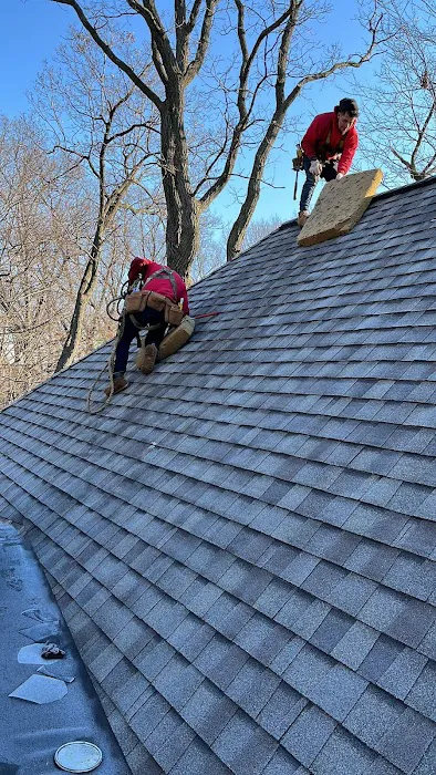 Spider construction Picture 5