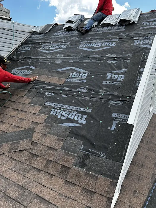 Spider construction Picture 4