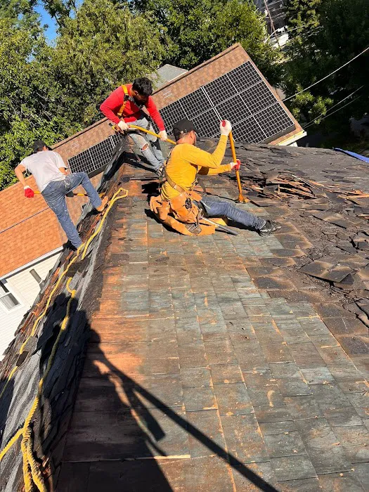 Spider construction Picture 3