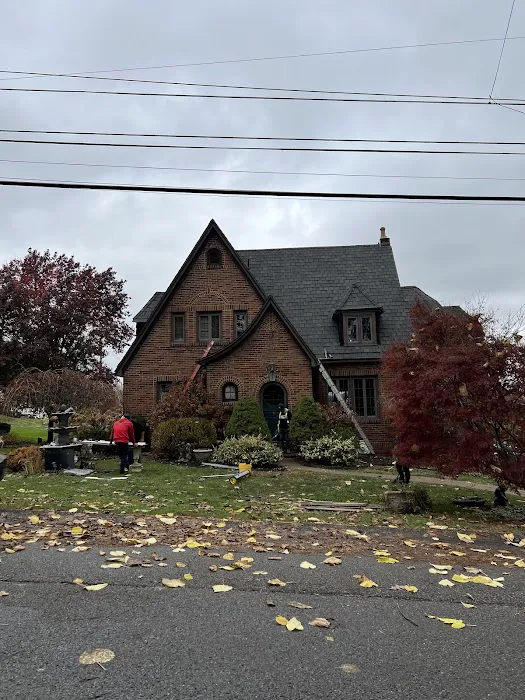 Spider construction Picture 9