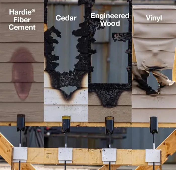 Mdm Fajardo Sons Picture 4