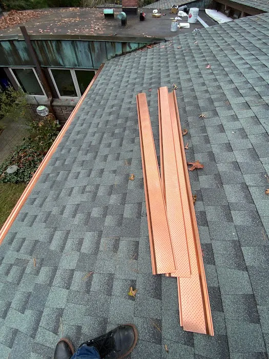 Next Level Roofing Picture 5