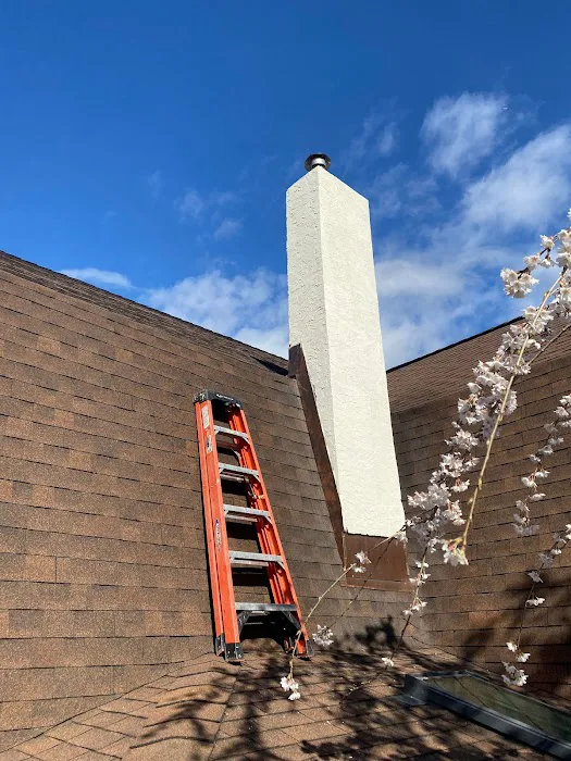 Next Level Roofing Picture 6