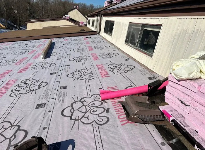 Payless Roof Repair and Replacement Picture 4