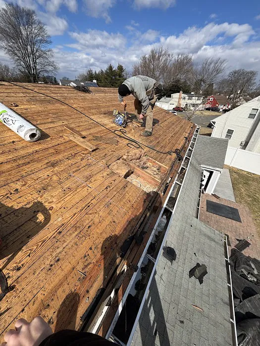 HOGAN ROOF Picture 4