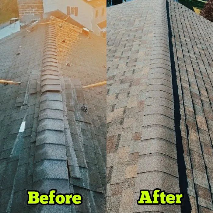 HOGAN ROOF Picture 8