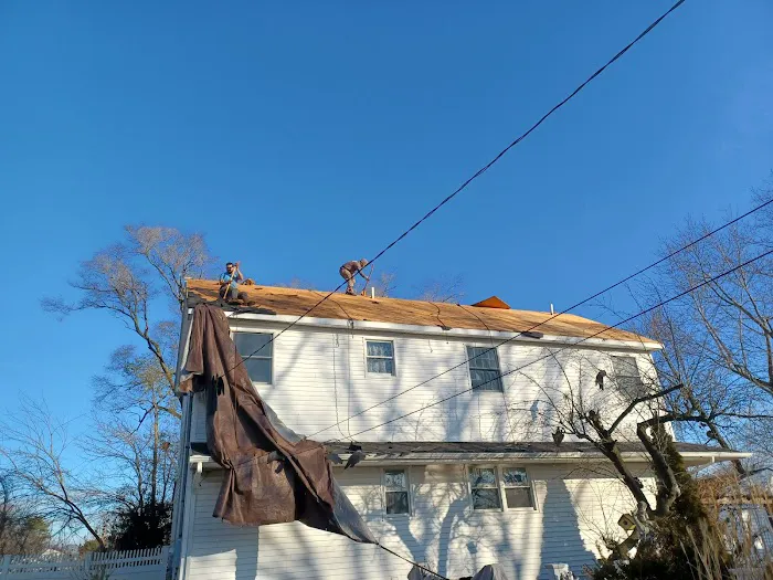 HOGAN ROOF Picture 10