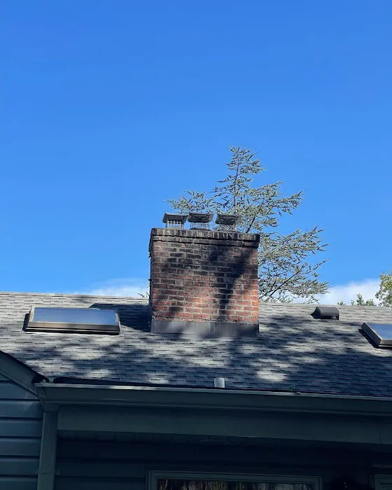 SafePro Roofing & Chimney Picture 10