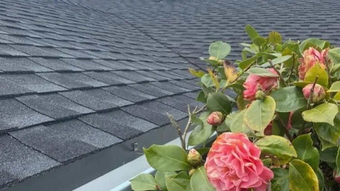 Brookhaven Roofing And Siding Picture 4