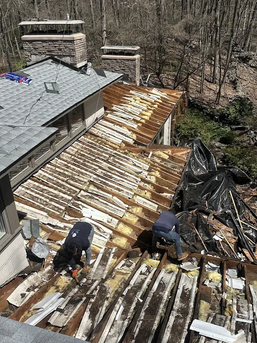 Black Fox Roofing Picture 5