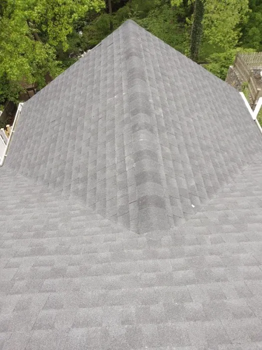 Black Fox Roofing Picture 4