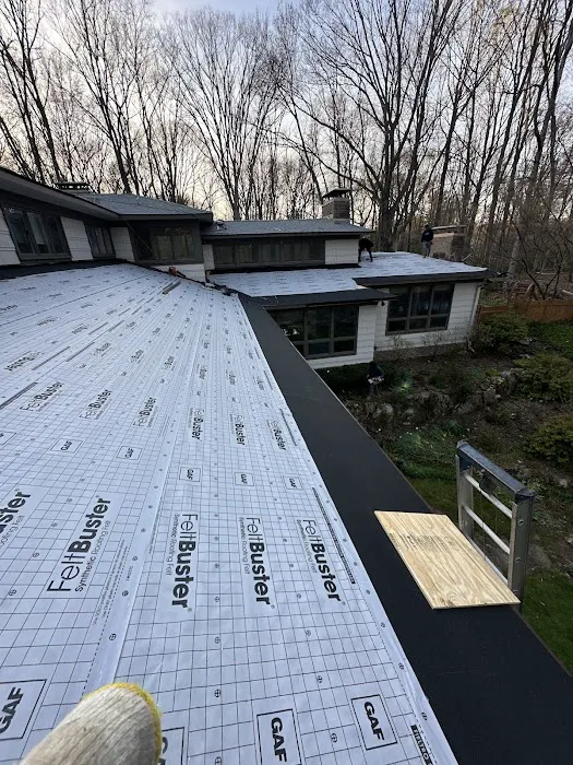 Black Fox Roofing Picture 6