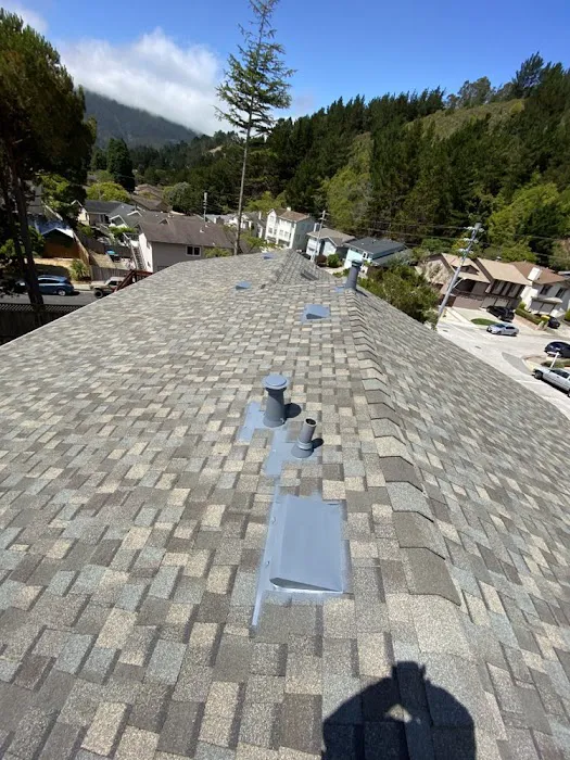 Elder Roofers Picture 8