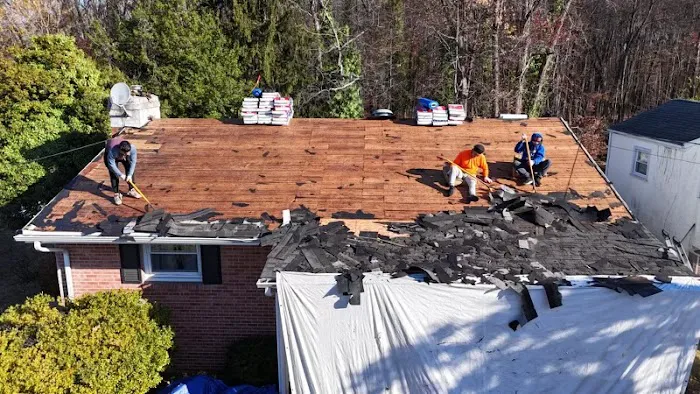 Roof Wizards Picture 3