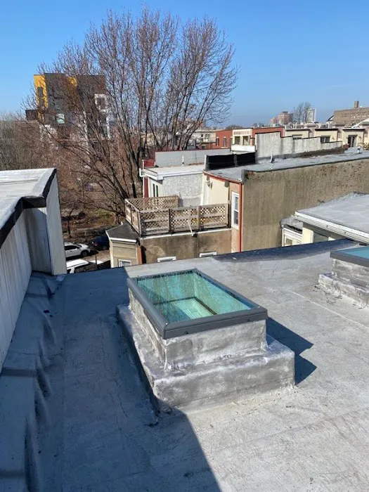 Roof Wizards Picture 10