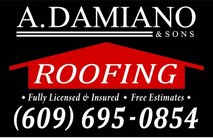 A. Damiano & Sons Roofing Picture 1