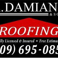 A. Damiano & Sons Roofing ico