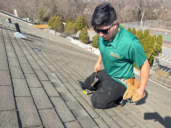 R-PRO RENOVATION Picture 4